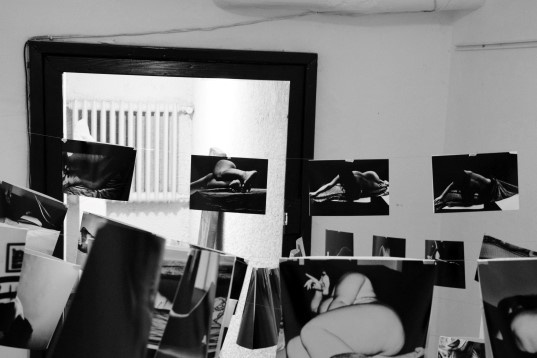 Ela Stoica // Zbor deasupra unui cuib de cuci 