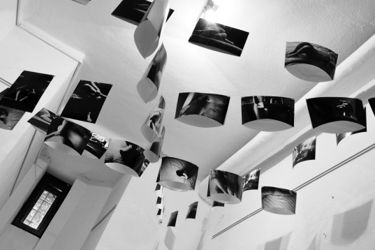 Ela Stoica // Zbor deasupra unui cuib de cuci 