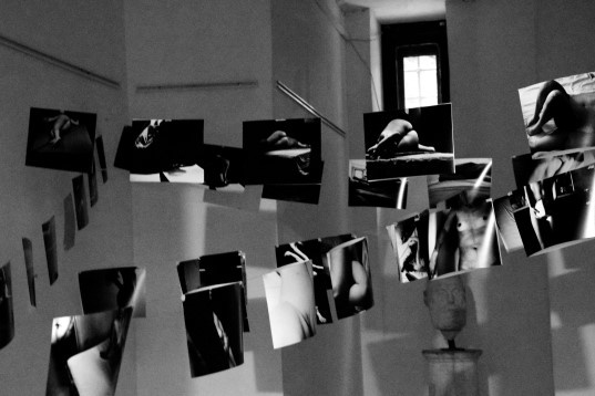 Ela Stoica // Zbor deasupra unui cuib de cuci 