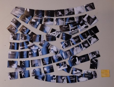 Ela Stoica // Zbor deasupra unui cuib de cuci 