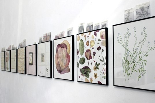 Emanuela Balint // Fals ierbar 