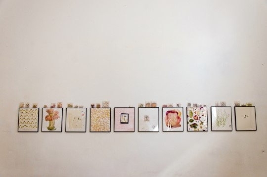 Emanuela Balint // Fals ierbar 