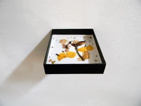 Emanuela Balint // Fals ierbar 