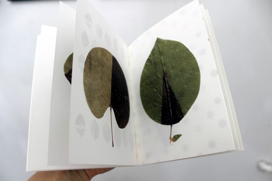 Emanuela Balint // Fals ierbar 