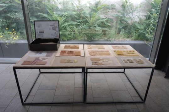 Emma Bojonca // Între creație și sustenabilitate 