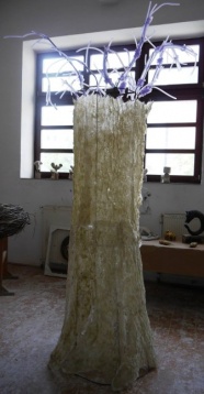 Gabriela Raiu // Degradare