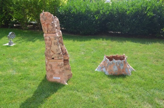 Gabriela Raiu // Degradare