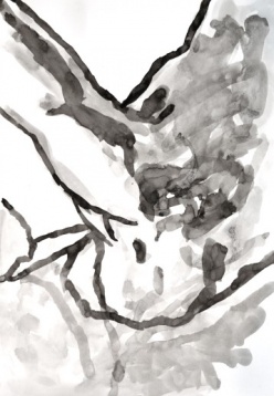 Gheorghe Stanciu // Valori expresive ale liniei 