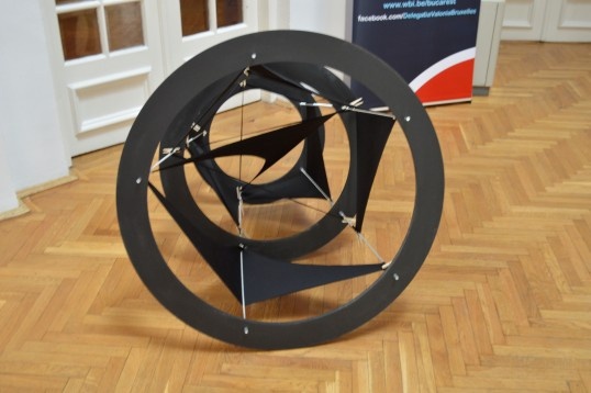 Ionuț Ștefan // Investigări naturale