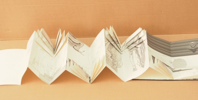 Irina Costescu // Distorsiune / Defragmentare 