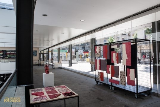 Iuliana Ogăraru // Identitate de împrumut 