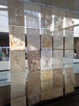 Luiza Raluca Blaj Apostol // Trăiri 