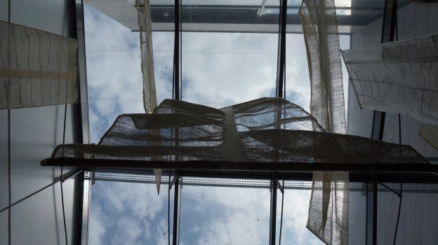 Maria Magdalena Popa // Eol