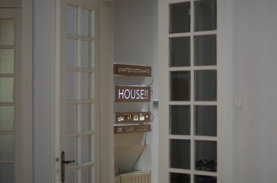 Mihai Teodorescu // Our house 