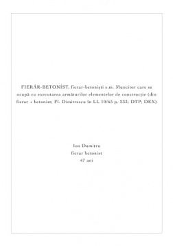 Raluca Mărgescu // Man at work 