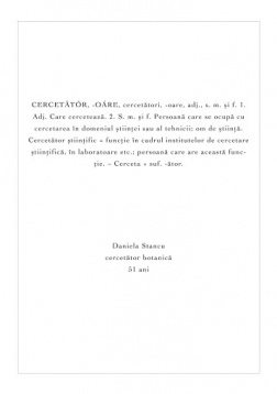 Raluca Mărgescu // Man at work 