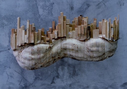 Sorin Maxim // Norii 