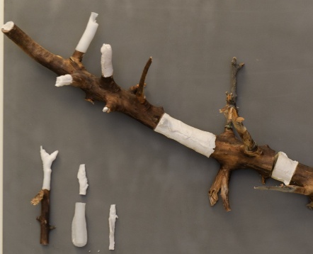 Ștefan Szabo // Rădăcini 