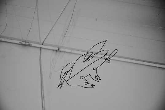 Teodora Gavrilă // Lumi interconectate 