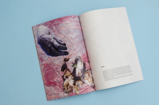 Alice Voinea // Ibidem 