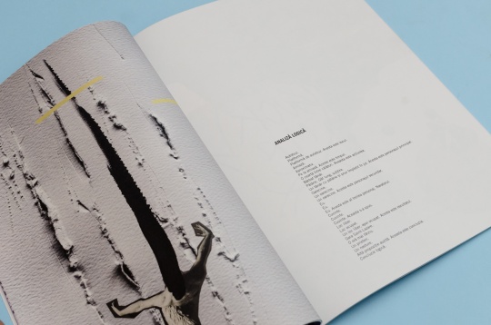 Alice Voinea // Ibidem 