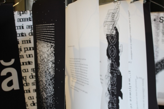 Alice Voinea // Ibidem 