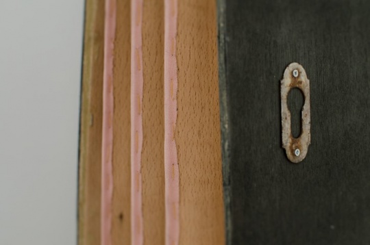 Adriana Untilov // Pe urmele visului 