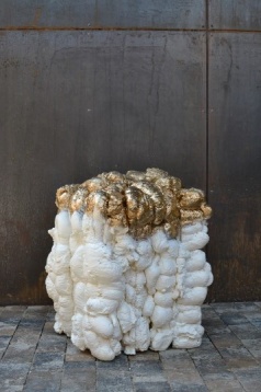 #DIPLOMAfaces Magdalena Traciu // XOY