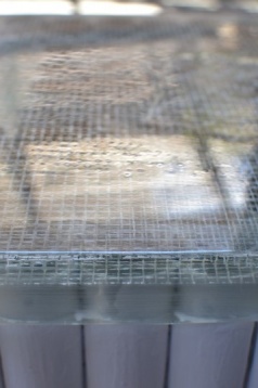 #DIPLOMAfaces Magdalena Traciu // XOY