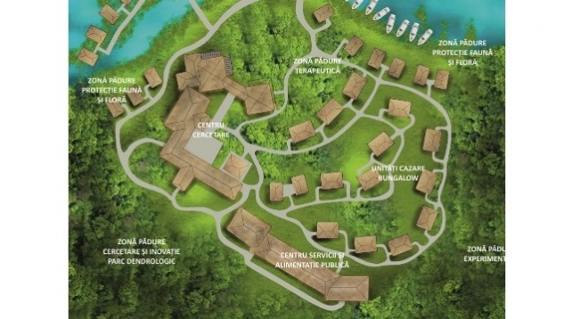 Tamara Roseti // Reactivarea pădurilor pierdute 