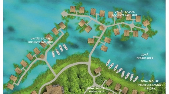 Tamara Roseti // Reactivarea pădurilor pierdute 