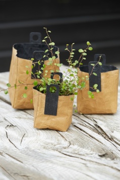 OOhh și Omy la Design&After