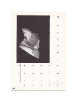 Câștigătorii Portfolio Reviews @Diploma