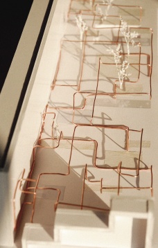 Câștigătorii Portfolio Reviews @Diploma