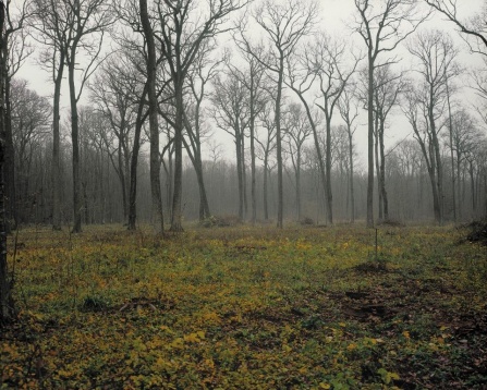 Lansare Borrowed Territories - Lucian Bran