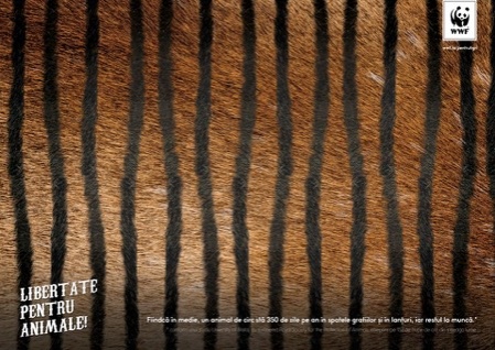 TOP 3 ADC*RO // IANUARIE 2017