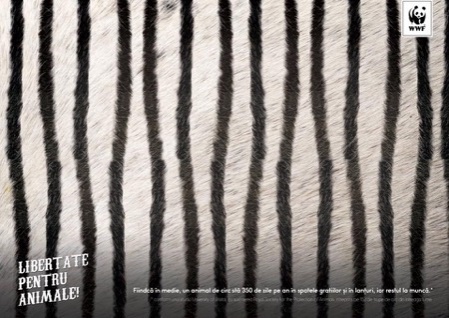 TOP 3 ADC*RO // IANUARIE 2017