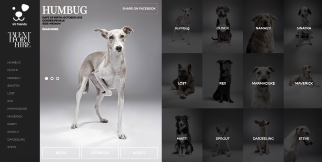 ANDY DANILUC // ADC*RO - NEW FACES