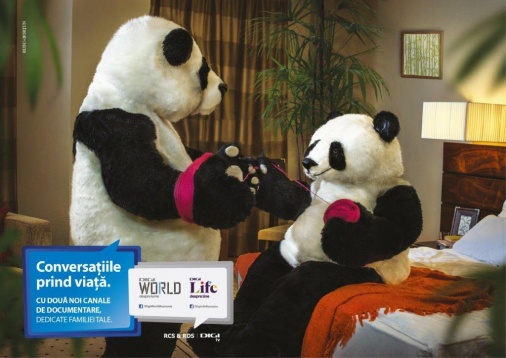 MARC BORTUN ADC*RO - NEW FACES