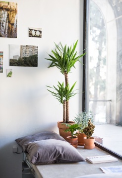 Artichoke Coffee Shop // Expoziție de fotografie 