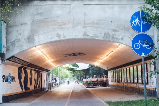 NATURA EVOLUTIVĂ A DESIGNULUI LA COBĂLCESCU 45