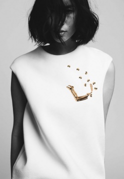 NATURA EVOLUTIVĂ A DESIGNULUI LA COBĂLCESCU 45