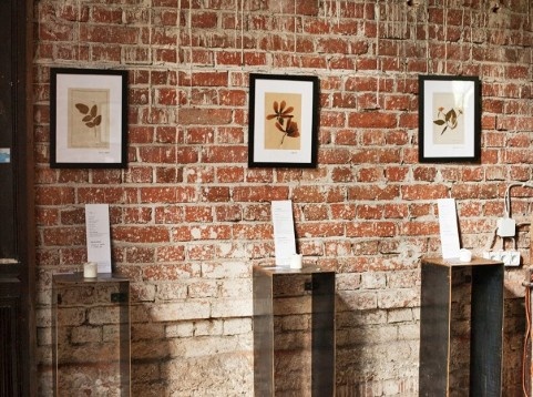 Poteca Studio & Alina Turdean // FOLIAGE