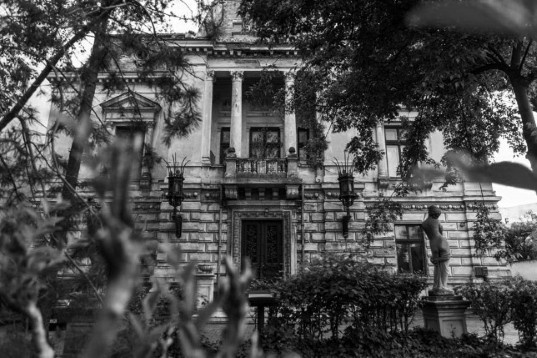 Poteca Studio & Alina Turdean // FOLIAGE