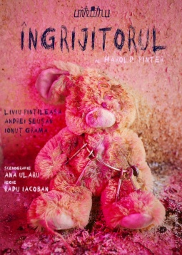 Încep Zilele Unteatru 2017