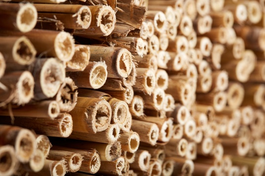 COLECȚIA QUINTESSENCE