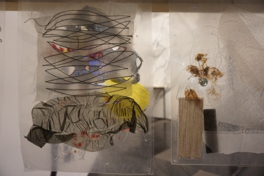 Diploma Selected se redeschide