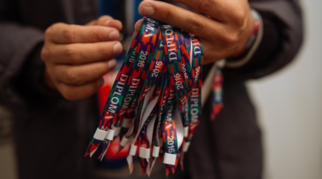 Call for Volunteers @ DIPLOMA 2017