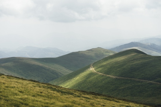 Andrei Nedelcu // Peren