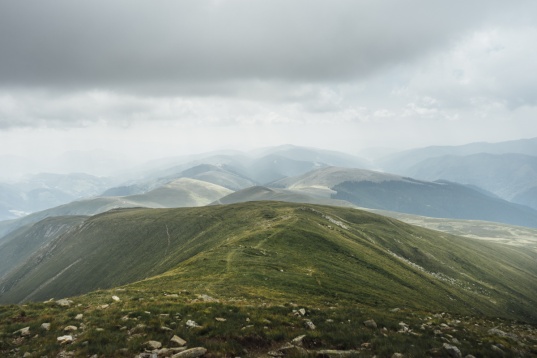 Andrei Nedelcu // Peren